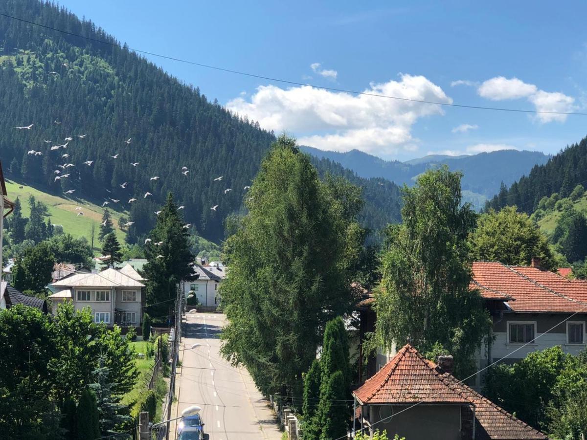 View apartment Câmpulung Moldovenesc Buitenkant foto